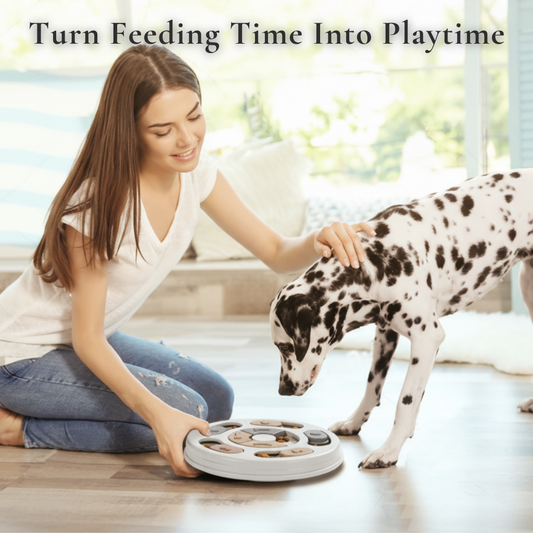 Pawzzle Smart Puzzle Feeder