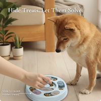 Pawzzle Smart Puzzle Feeder