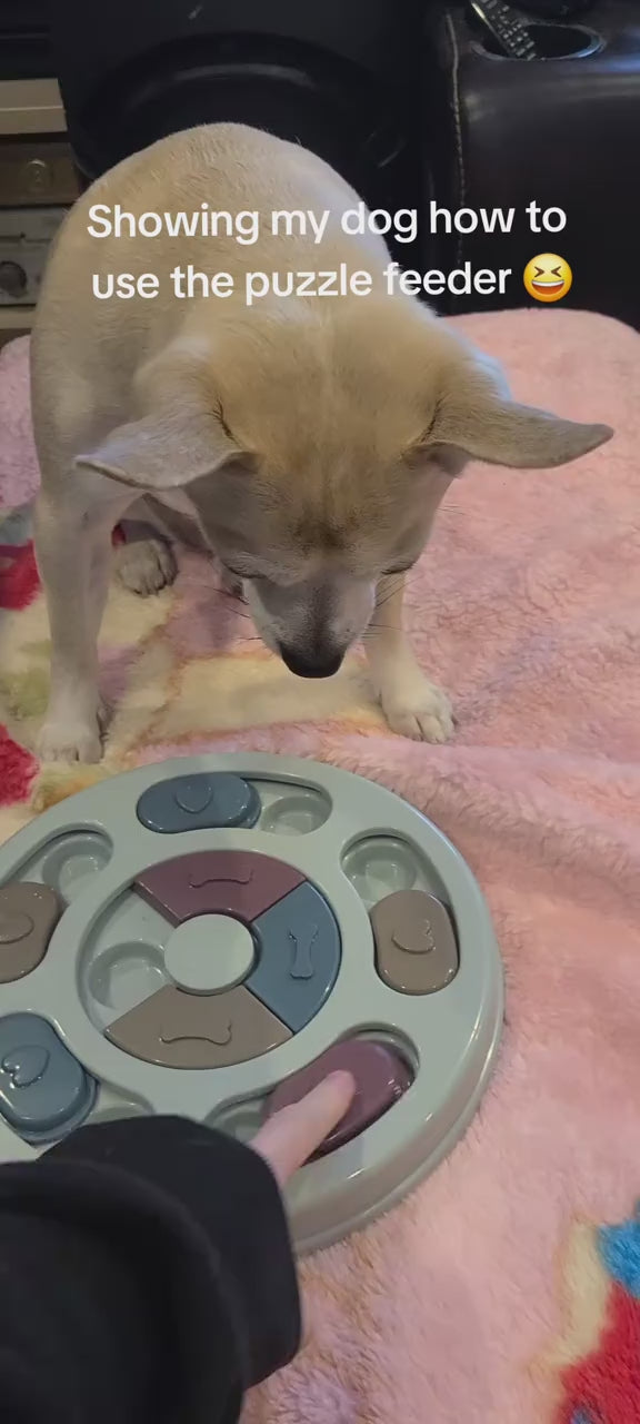 Pawzzle Smart Puzzle Feeder video