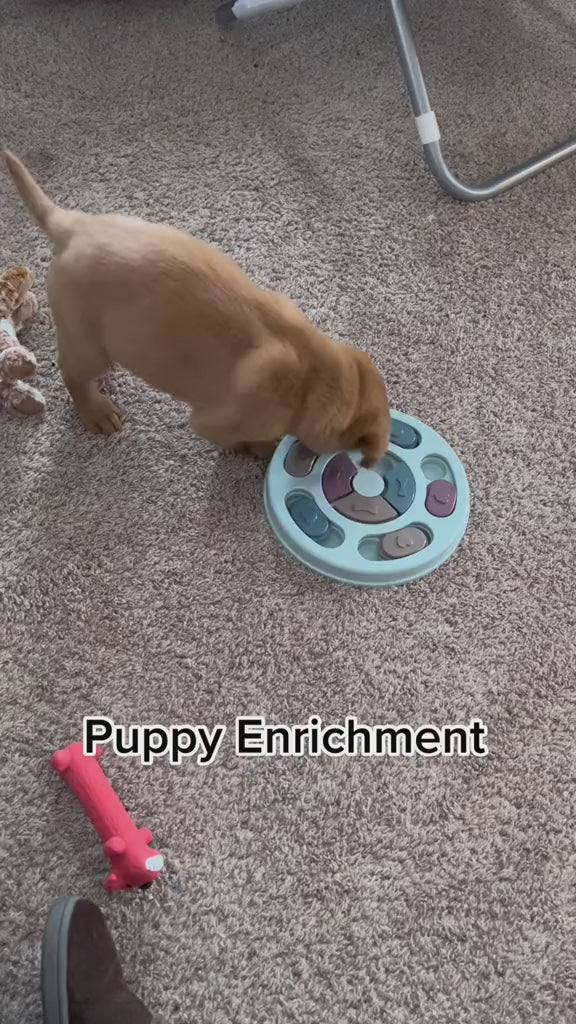 Pawzzle Smart Puzzle Feeder video