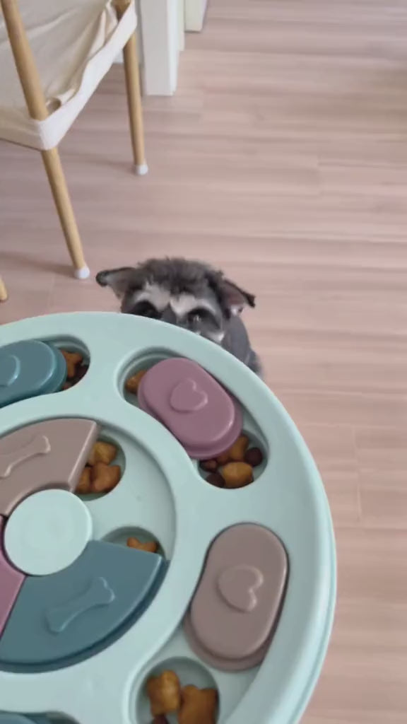 Pawzzle Smart Puzzle Feeder video