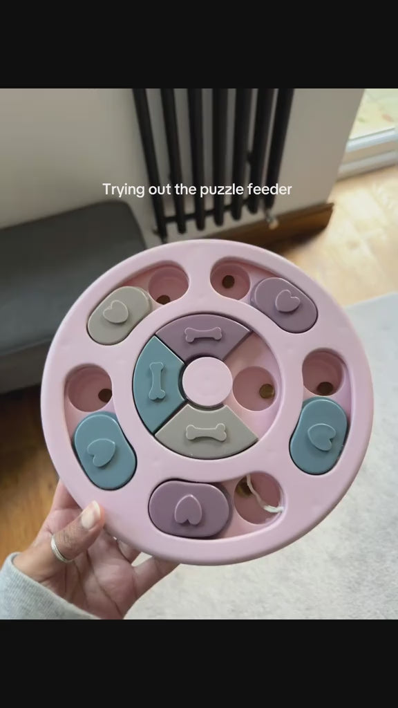 Pawzzle Smart Puzzle Feeder video