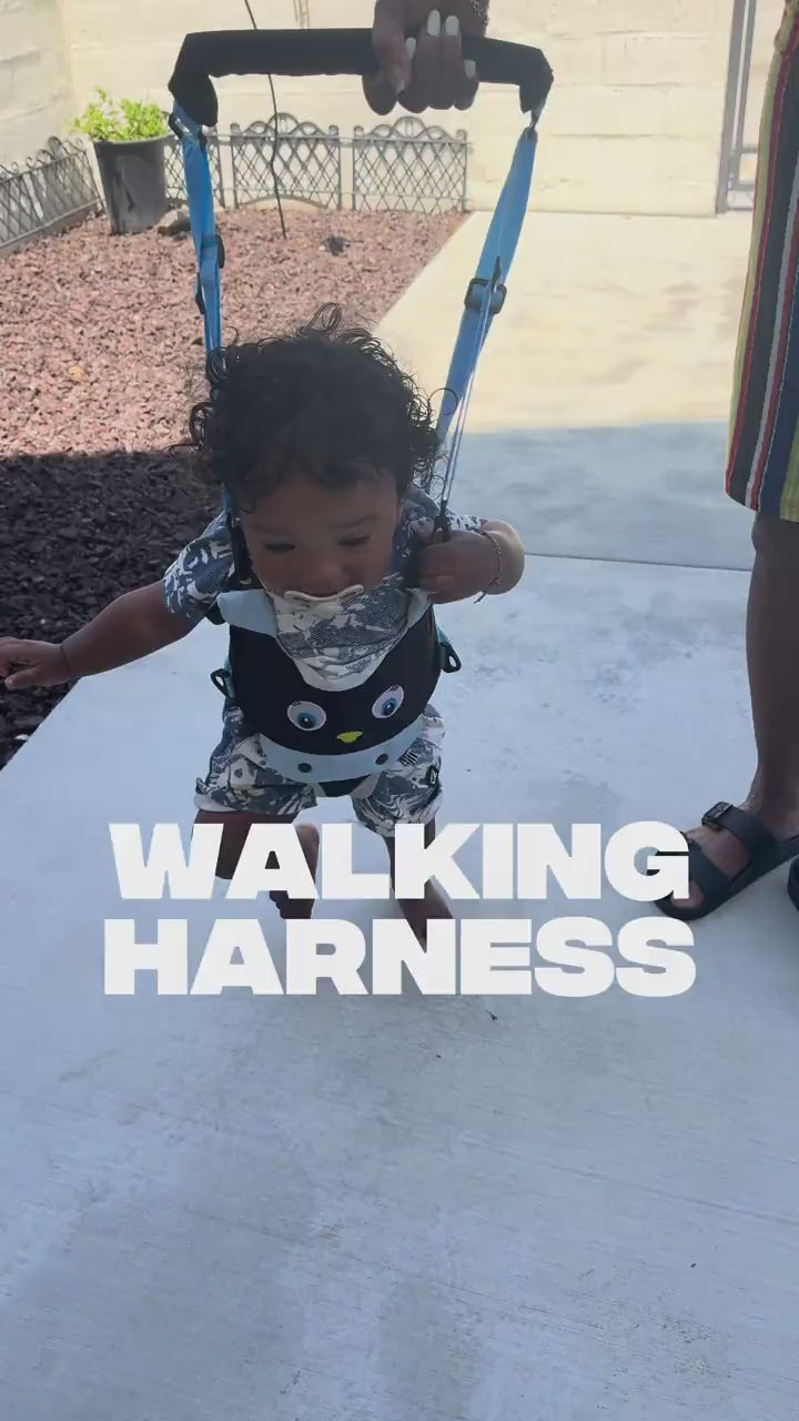 StepBuddy™  Toddler Walking Harness video